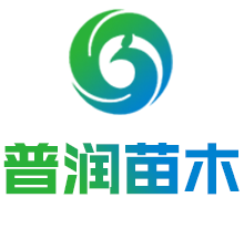 北京時代新維測控設(shè)備有限公司